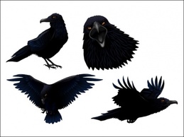 Dark Twitter Bird Preview