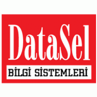 DataSel Bilgi Sistemleri Preview