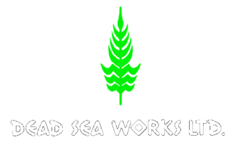 Dead Sea Works 