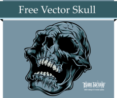 Holiday & Seasonal - Decomposing Skull Vector 
