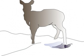 Animals - Deer clip art 