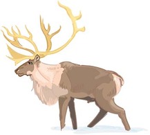 Animals - Deer vector 1 