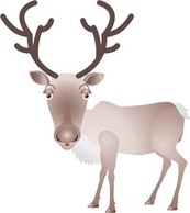 Deer vector 2