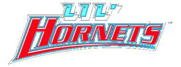 Delaware State Hornets 