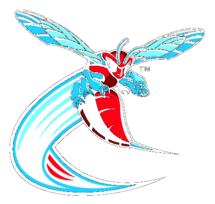 Delaware State Hornets 