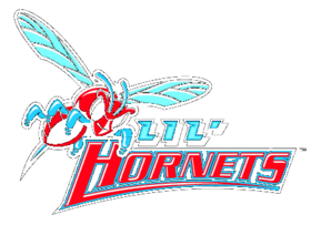 Delaware State Hornets 