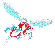 Delaware State Hornets