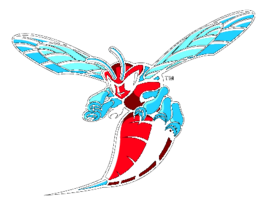 Delaware State Hornets 