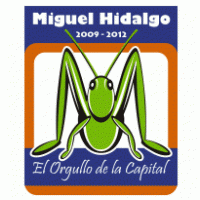 Delegacion Miguel Hidalgo Preview