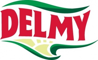 Delmy logo 