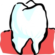 Human - Dente clip art 