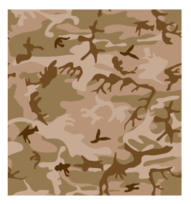 Desert Camo Print