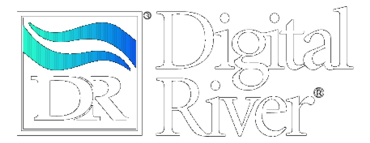 Digital River