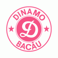 Football - Dinamo Bacau 