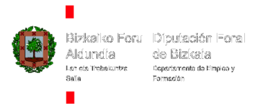 Diputacion Foral Bizakaia Preview