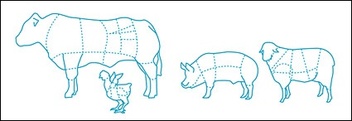 Distribution of consumption of chicken