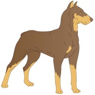 Animals - Doberman Vector 1 