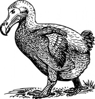 Dodo Bird clip art