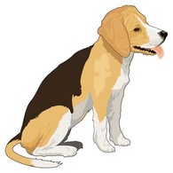 Animals - Dog collection vector 4 