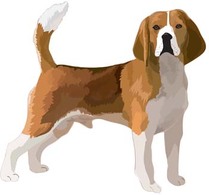 Animals - Dog collection vector 7 