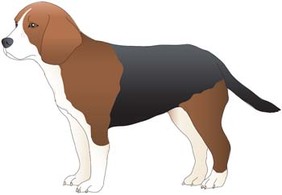 Animals - Dog collection vector 9 