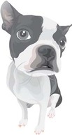 Dog Vector 1