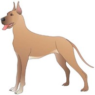 Animals - Dog Vector 25 