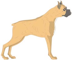 Animals - Dog Vector 3 