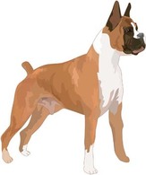 Animals - Dog Vector 9 