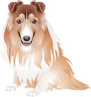 Animals - Dog vector collections 1 