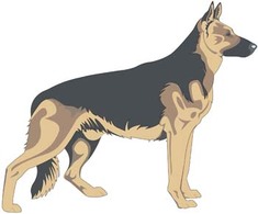 Animals - Dog vector collections 2 