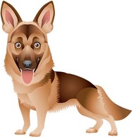 Animals - Dog vector collections 3 