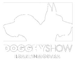 Dogghy Show