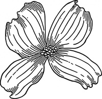 Nature - Dogwood clip art 