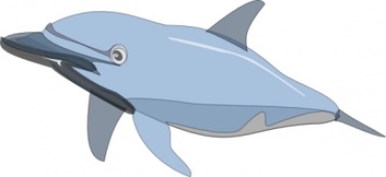 Dolphin clip art