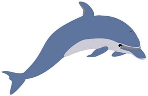 Animals - Dolphin Vector 1 