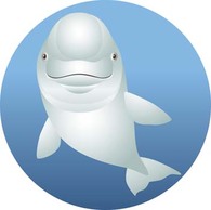 Dolphin Vector 8