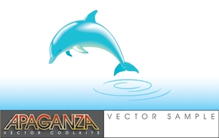 Animals - Dolphin Vector 