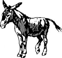 Animals - Donkey clip art 