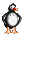 DouDouPenguin