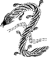 Animals - Dragon chinese style black & white 