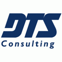 DTS Consulting Preview