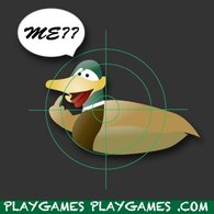 Duck Hunting Game