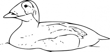 Duck Swimming clip art Preview