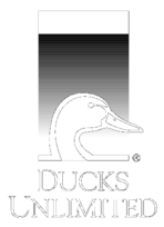 Ducks Unlimited