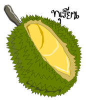 Food - Durian,Thai Fruit 