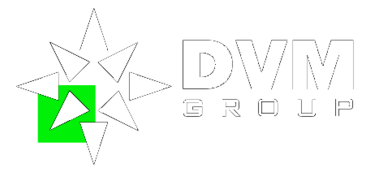 Dvm Group