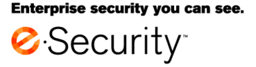 E Security 