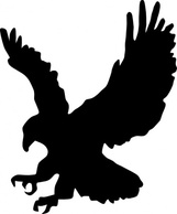 Animals - Eagle clip art 