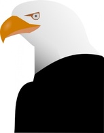 Eagle clip art